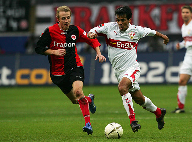 还为大家提 还为大家提